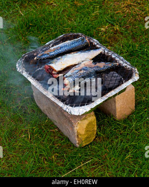 Appena pescato il pesce sgombro cottura su un barbecue monouso montato su due mattoni sull'erba per impedire la masterizzazione di massa Foto Stock