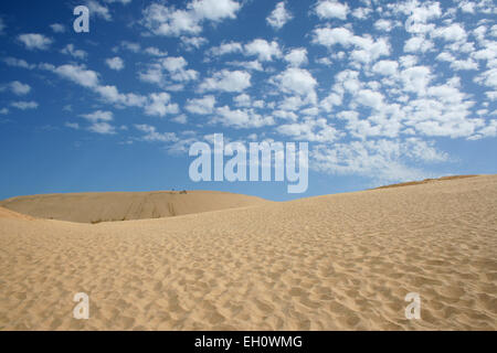 Cielo nuvoloso oltre le dune di sabbia a Cape Reinga, Nuova Zelanda. Foto Stock