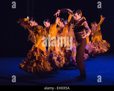 Photocall per Ballet Nacional de España. La società esegue "Feria', la sequenza di apertura del pezzo 'suite Sevilla", con la coreografia di Antonio Najarro, direttore artistico del Ballet Nacional de España, dal 26 al 28 febbraio 2015 a: Sadler's Wells Theatre. Feria è eseguita da 20 ballerini e 1 cantante (Saray Muñoz). La performance è parte del Festival di Flamenco Londra 2015 che corre fino al 1 marzo. Foto Stock
