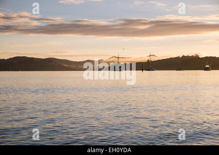 Sunrise presso la costa in Paihia, Bay of Islands, Nuova Zelanda Foto Stock