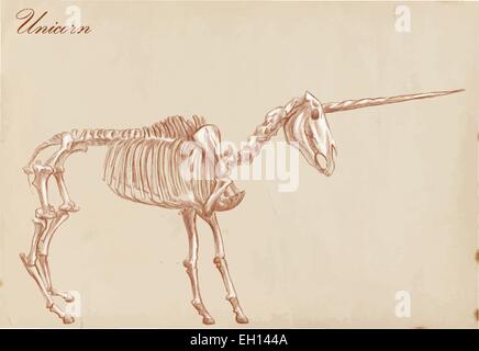 Un disegnati a mano illustrazione vettoriale. Serie di animali leggendari mostri e (scheletro): UNICORN. Disegni comprendono almeno compagnia Illustrazione Vettoriale