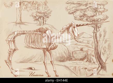 Un disegnati a mano illustrazione vettoriale. Serie di animali leggendari mostri e (scheletro): UNICORN. Disegni comprendono almeno compagnia Illustrazione Vettoriale