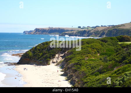 Fungo reef Marine Sanctuary, Penisola di Mornington Foto Stock