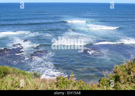 Fungo reef Marine Sanctuary, Penisola di Mornington Foto Stock