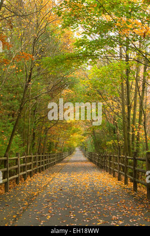 Rail-trail, Farmington Canal Heritage Trail, Connecticut Foto Stock