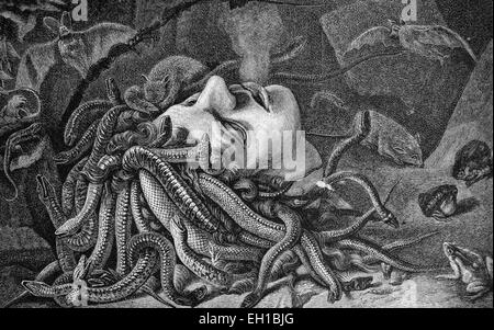 Testa di Medusa, storico illustrazione, 1877 Foto Stock