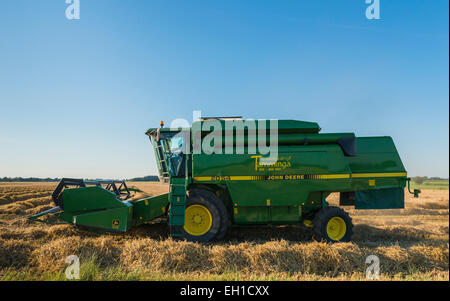Grande e verde macchina trebbiatura raccolta del mais su un campo in Schildwolde della provincia di Groninga. Foto Stock