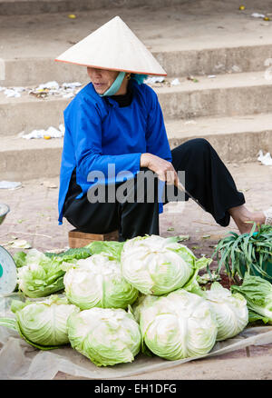 Bac Ha mercato di domenica famoso per la vendita di buffalo vicino a Lao Cai e Sa Pa,Sapa, hill tribe, città, Vietnam, Foto Stock