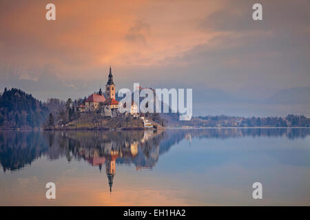 Il lago di Bled. Il lago di Bled con San Marys chiesa dell Assunzione sulla piccola isola. Bled, Slovenia, l'Europa. Foto Stock