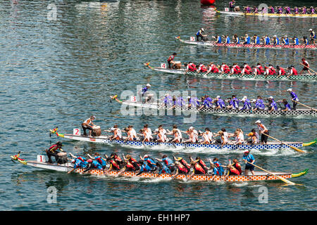 Angolo di alta vista di una gara di dragon boat, parte del nuovo anno cinese 2015. Il Cockle Bay, il Porto di Darling, Sydney, Australia Foto Stock