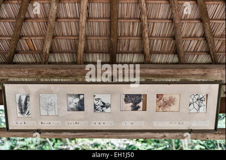 Un vecchio grafico identifica le specie di piante trovate nei giardini 19c del Santuario Heian (Heian Jingu), un tempio shintoista a Kyoto, in Giappone Foto Stock
