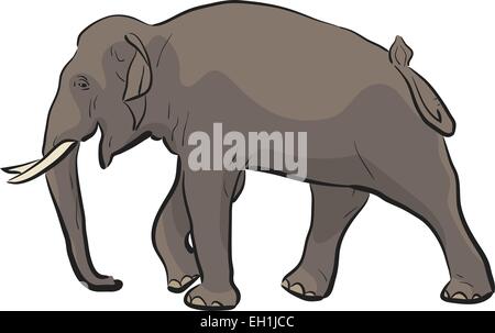 Modificabile illustrazione vettoriale di una passeggiate elefante Asiatico Illustrazione Vettoriale