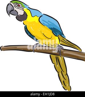 Modificabile illustrazione vettoriale di un macaw pappagallo in feltro stile penna su sfondo bianco Illustrazione Vettoriale