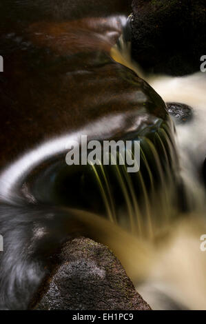 Acqua fluente liscia che forma una curva dolce sulle rocce a Padley Gorge nel Peak District. Foto Stock