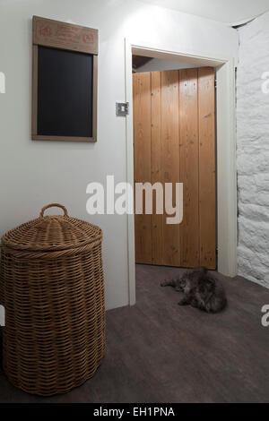 Gatto nel portale con un cesto della biancheria e lavagna a Macclesfield townhouse, Cheshire, Inghilterra, Regno Unito Foto Stock