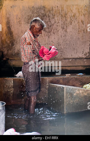 Dhobi lavaggio e stiratura House (Servizio lavanderia Casa) Cochin, India Foto Stock