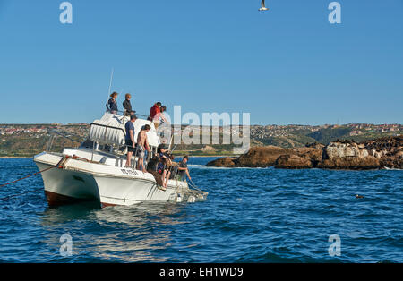 Gabbia barca immersioni con i turisti in attesa del grande squalo bianco ,Mossel Bay Western Cape, Sud Africa Foto Stock