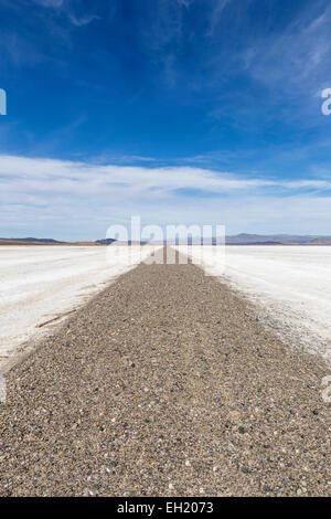 Deserto Mojave dry lake sale su strada piana vicino a Death Valley, California. Foto Stock