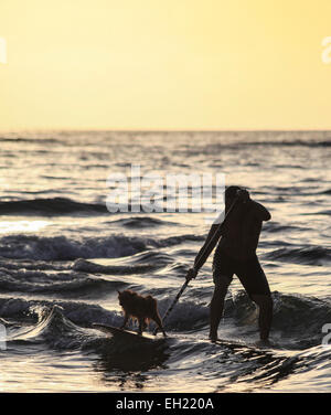 Kauai residente e cane surf nella Baia di Hanalei Foto Stock