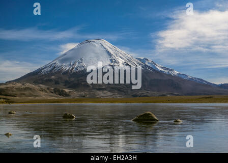 Vista panoramica del Nevado Sajama vulcano, il picco più alto in Bolivia in Sajama Parco nazionale Foto Stock