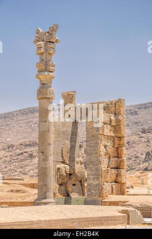 Rovine della capitale persiana Persepoli in Iran corrente Foto Stock