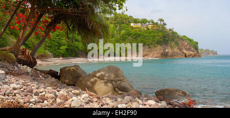 I boschi sulla spiaggia di Montserrat, West Indies, dei Caraibi Foto Stock