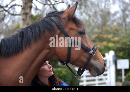 Una giovane donna alla ricerca fino a un cavallo Foto Stock