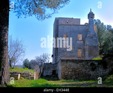 Vecchia fattoria abbandonata nel mezzo di alberi di olivo e pareti di pietra in Puglia. Foto Stock