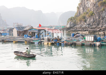 Fattoria di Pesce village, tra Carso montagne calcaree a Cat Ba National Park, Ha long,Halong Bay, Ha long,Halong Bay, Vietnam Foto Stock