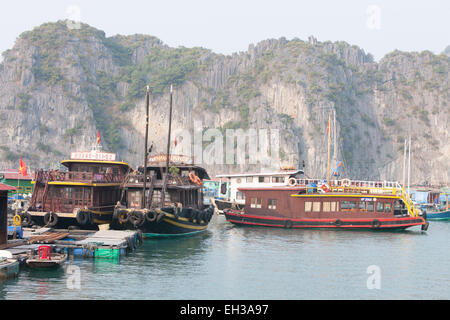 Fattoria di Pesce village, tra Carso montagne calcaree a Cat Ba National Park, Ha long,Halong Bay, Ha long,Halong Bay, Vietnam Foto Stock