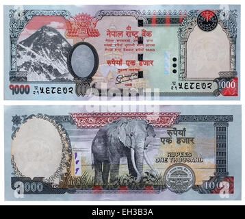 1000 rupie banconota, il Monte Everest ed elefante, Nepal, 2008 Foto Stock