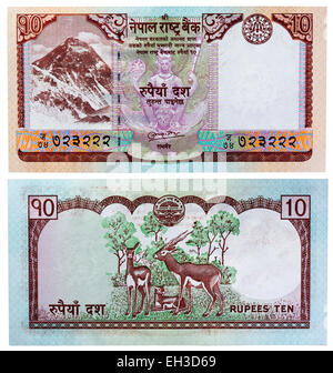 10 rupie banconota, Everest e antilopi, Nepal, 2008 Foto Stock