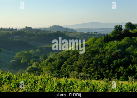 Il paesaggio toscano, all'alba, che circonda la città di San Gimignano, Toscana, Italia Foto Stock