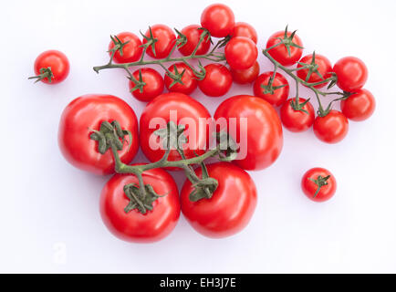 Grandi pomodori bistecca di manzo con minore piccolo pomodori ciliegia sulla vite su uno sfondo bianco. Foto Stock