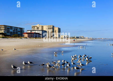 Spiaggia di Baia di cacao, Florida, Stati Uniti d'America Foto Stock