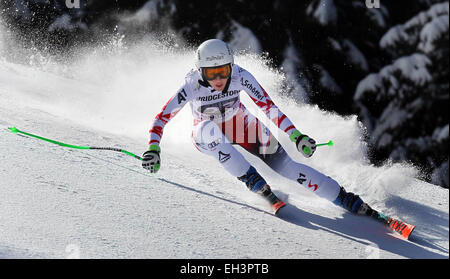 Garmish-Partenkirchen, Germania. 06 Mar, 2015. Regina Sterz dell'Austria in azione durante la donna in discesa la formazione in Garmish-Partenkirchen, Germania, 06 marzo 2015. Foto: Karl-Josef Hildenbrand /dpa/Alamy Live News Foto Stock