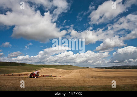 Irrorazione delle colture un campo sotto un grande cielo molto nuvoloso Foto Stock