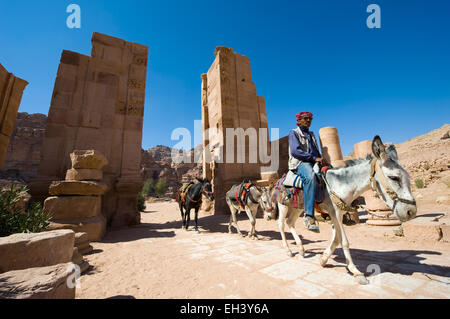 PETRA, GIORDANIA - Ott 12, 2014: un asino con il suo proprietario sul suo cavallo in strade colonnate di Petra in Giordania Foto Stock