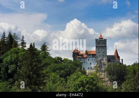 La Romania, Transilvania, Brasov regione, Castello di Bran del XIII secolo associato nella memoria collettiva a Vlad III l'Impalatore e il carattere di Dracula che ha ispirato Foto Stock