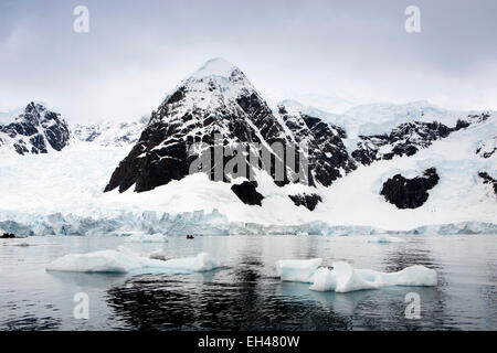 L'Antartide, Paradise Bay, crociera in zodiac del ghiacciaio rompere in mare per formare gli iceberg Foto Stock