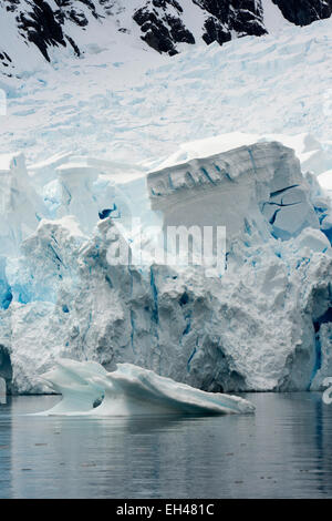 L'Antartide, Paradise Bay, fine del ghiacciaio rompere in mare per formare gli iceberg Foto Stock