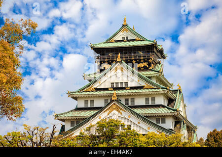 Osaka in Giappone presso il Castello di Osaka durante la primavera la fioritura dei ciliegi stagione. Foto Stock