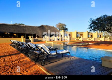 La Namibia, deserto Kalahari, Intu Afrika Kalahari Game Reserve Foto Stock