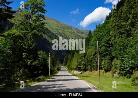 La Romania, Valacchia, Muntenia, Arges County, Monti Fagaras lungo la strada Transfagarasan nei Carpazi Meridionali Foto Stock