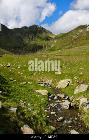 La Romania, Valacchia, Muntenia, Arges County, Monti Fagaras lungo la strada Transfagarasan nei Carpazi Meridionali Foto Stock