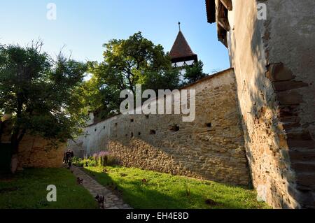 La Romania, Transilvania, Cincsor, la duecentesca chiesa fortificata Foto Stock