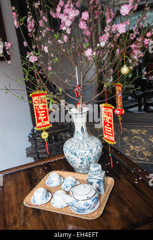 Fiori sul display. Han Noi,Hanoi, Vietnam,Tet,Molla,vaso,lobby,hotel,Han Noi, Hanoi, Vietnam, Foto Stock