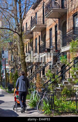 Canada, Provincia di Quebec, Montreal, Plateau Mont-Royal distretto e la sua tipica casa all'aperto con scale in ferro battuto, un padre a piedi il suo bambino in un passeggino Foto Stock