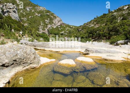 Francia, Aude, tra Camplong d'Aude e Montlaur, il flusso di metalline corre in Gorges du CongouSaint drenaggio di acqua dal rilievo di calcare del Alarico montagne Foto Stock