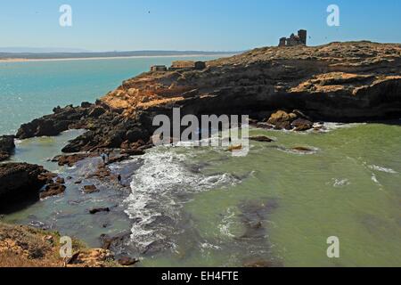 Marocco Essaouira, Arcipelago di Essaouira Mogador isole Foto Stock